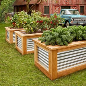 image of raised garden beds